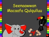Seenaawwan Macaafa Qulqulluu