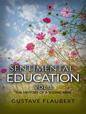 Sentimental Education, or The History of a young man Vol 1