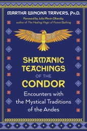 Shamanic Teachings of the Condor