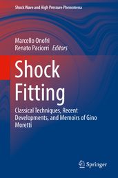 Shock Fitting