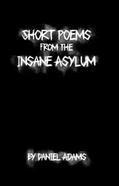 Short Poems from the Insane Asylum