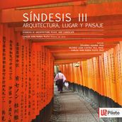 Sindesis III