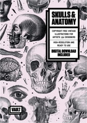 Skulls & Anatomy