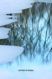 Skylight