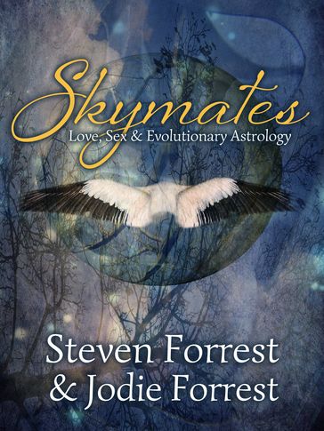 Skymates - Jodie Forrest - Steven Forrest