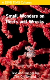 Small Wonders on Reefs and Wrecks