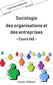 Sociologie des organisations et des entreprises