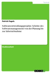 Softwareentwicklungsprojekte. Schritte des Softwaremanagements von der Planung bis zur Inbetriebnahme