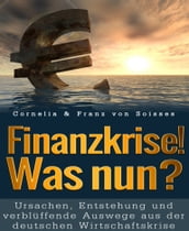 Soisses! Finanzkrise, was nun?