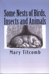 Some Nests of Birds, Insects and Animals