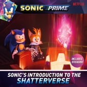 Sonic s Introduction to the Shatterverse