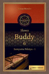 Sowo Buddy - 6
