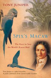 Spix s Macaw: The Race to Save the World s Rarest Bird (Text Only)