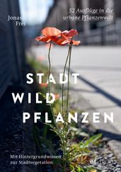 Stadtwildpflanzen