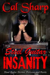 Steel Guitar Insanity
