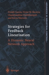 Strategies for Feedback Linearisation