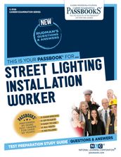 Street Lighting Installation Worker
