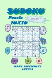 Sudoku Puzzle 16X16, Volume 4