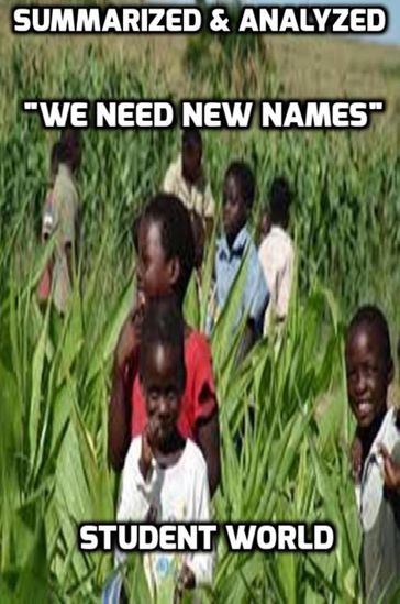 Summarized & Analyzed "We Need New Names" - Student World