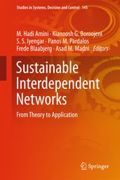 Sustainable Interdependent Networks