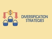 THE NECESSITY OF DIVERSIFICATION STRATEGY- DURING COVID-19 PANDEMIC