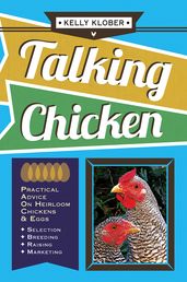 Talking Chicken