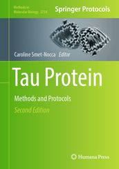 Tau Protein