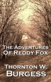 The Adventures Of Reddy Fox