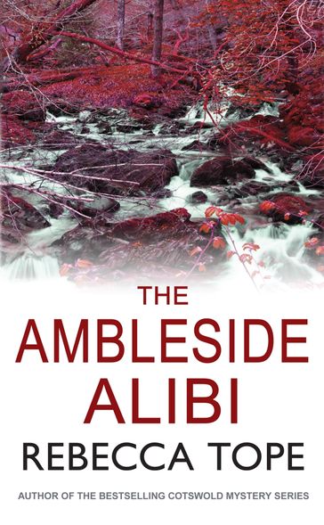The Ambleside Alibi - Rebecca Tope