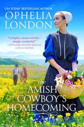The Amish Cowboy s Homecoming