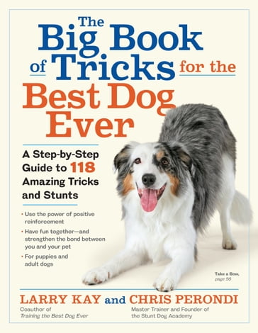 The Big Book of Tricks for the Best Dog Ever - Chris Perondi - Larry Kay
