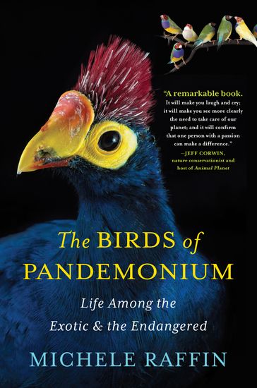 The Birds of Pandemonium - Michele Raffin