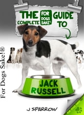 The Complete Guide To Jack Russell Terrier