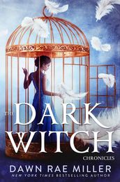 The Dark Witch Chronicles Boxset