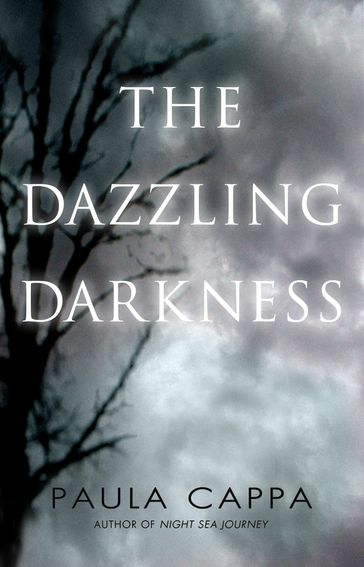 The Dazzling Darkness - Paula Cappa
