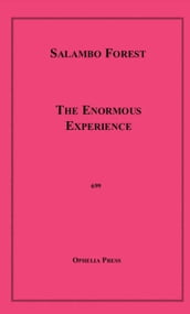 The Enormous Experience