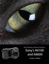The Friedman Archives Guide to Sony s Alpha 6100 and 6600