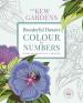 The Kew Gardens Wonderful Flowers Colour-by-Numbers