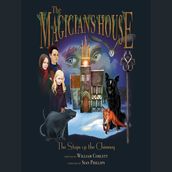 The Magicians House: The Steps up the Chimney