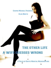 The Other Life - A Wife Guesses Wrong