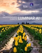 The Photographer s Guide to Luminar AI