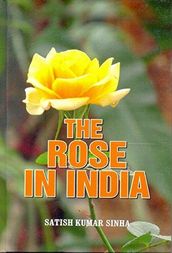 The Rose in India