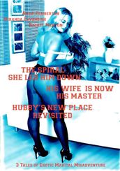 The Spiral She Led Him Down - His Wife is Now His Master - Hubby s New Place Revisited