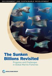 The Sunken Billions Revisited