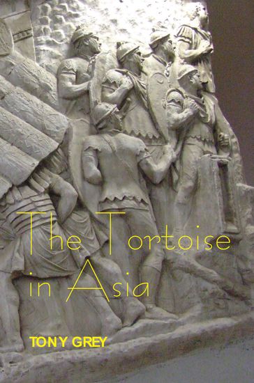 The Tortoise in Asia - Tony Grey