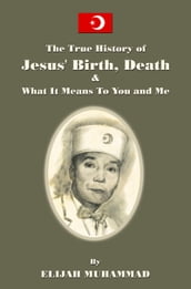 The True History of Jesus  Birth Death and What It Means To You and Me