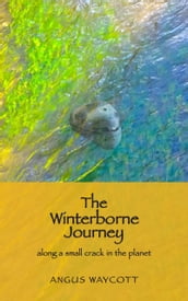 The Winterborne Journey