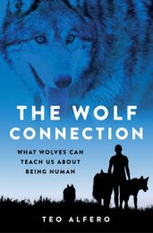 The Wolf Connection