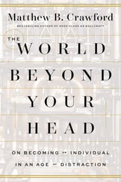 The World Beyond Your Head