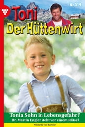 Toni der Hüttenwirt (ab 301) 319  Heimatroman